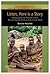 Listen, Here is a Story by Bonnie L. Hewlett