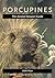 Porcupines: The Animal Answer Guide (The Animal Answer Guides: Q&A for the Curious Naturalist)