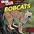 Bobcats (Killer Cats)