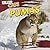 Pumas (Killer Cats)