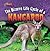 The Bizarre Life Cycle of a Kangaroo (Strange Life Cycles)