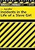 Incidents in the Life of a Slave Girl (Cliffs Notes Series)