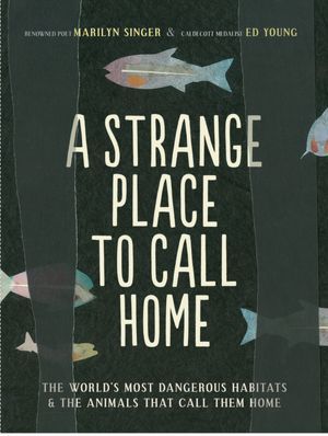 A Strange Place to Call Home: The World's Most Dangerous Habitats  the Animals That Call Them Home (Hardcover)