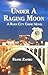 Under A Raging Moon (River City Crime #1)