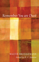 Remember You Are Dust (Paperback)
