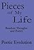 Pieces of My Life: Random T...