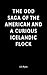 The Odd Saga of the American and a Curious Icelandic Flock