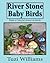 River Stone Baby Birds: Paint a Colorful Aviary on Rocks