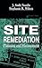 Site Remediation: Planning and Management