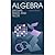 Algebra (Textbooks in Mathematics)