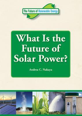 What Is the Future of Solar Power? (Future of Renewable Energy)