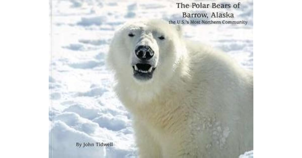 The Polar Bears of Barrow, Alaska The U.S.'s Most Northern Community