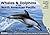 Whales and Dolphins of the North American Pacific: Including Seals and Other Marine Mammals (WILDGuides)