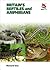 Britain's Reptiles and Amphibians by Howard Inns