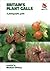 Britain's Plant Galls: A Ph...