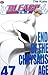 END OF THE CHRYSALIS AGE (BLEACH, #47)
