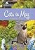 Cats in May