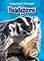 Badgers