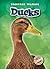 Ducks