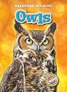 Owls (Blastoff! Readers: Backyard Wildlife)