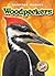 Woodpeckers (Blastoff! Readers: Backyard Wildlife)