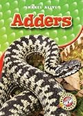 Adders