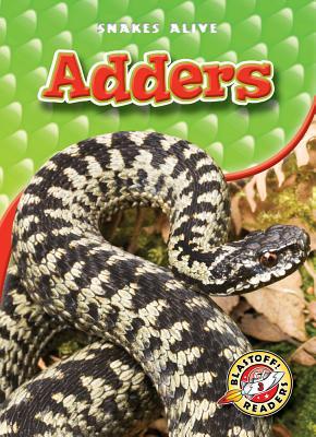 Adders (Snakes Alive)