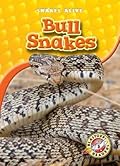 Bull Snakes