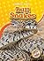 Bull Snakes