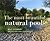 The Most Beautiful Natural ...