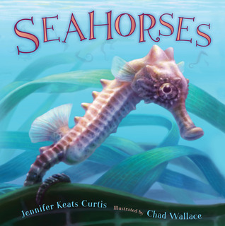 Seahorses (Hardcover)