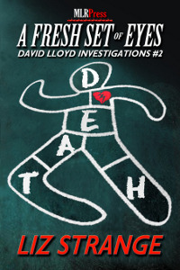 A Fresh Set of Eyes (David Lloyd Investigations #2)