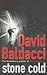 Stone Cold (Camel Club, #3)