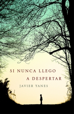 Si nunca llego a despertar