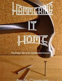 Hammering It Home (ebook)