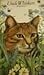Uncle Whiskers
