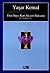 Fırat Suyu Kan Akıyor Baksana by Yaşar Kemal