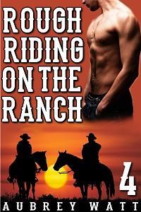 Rough Riding on the Ranch (Gay Cowboys, #4)
