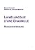 La mélancolie d'une Charmille by Bruno Colmant