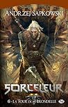 La Tour de l'hirondelle by Andrzej Sapkowski