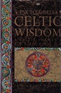 The Encyclopaedia of Celtic Wisdom: A Celtic Shaman's Sourcebook (Paperback)