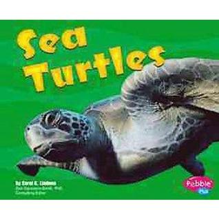 Sea Turtles (Pebble Plus)