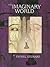 The Imaginary World by Daniel Stewart