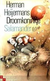 Droomkoninkje
