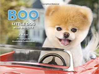 Boo: Little Dog in the Big City