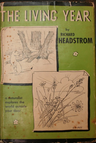 Richard Headstrom
