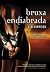 Bruxa Endiabrada (Rachel Morgan, #5)