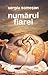 Numărul fiarei by Sergiu Someşan