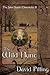 The Wild Hunt (The John Swale Chronicles, #8)