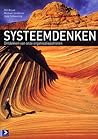 Systeemdenken: Ontdekken van onze organisatiepatronen Systeemdenken: Ontdekken van onze organisatiepatronen
